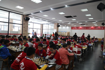 1493712363549399.jpg 4.jpg