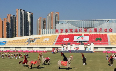 1495414915181153.jpg 3.jpg