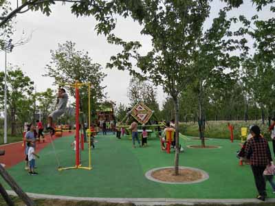 1526869726793932.jpg 公益金资助健身器材 惠及社会广大群众4(中片).jpg