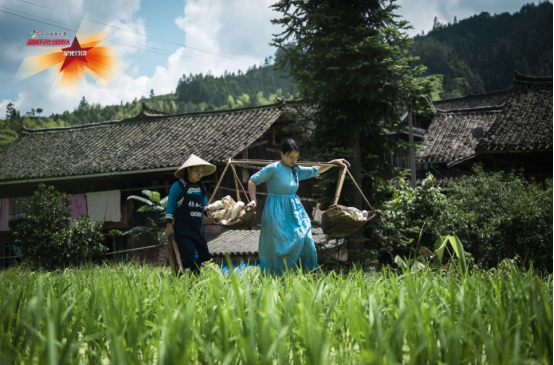 1599010495859194.png image.png