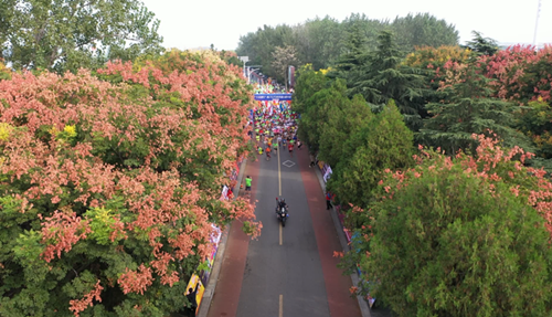 体彩公益金助力“半程马拉松赛” (2)_副本.png