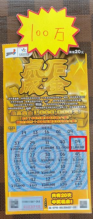 100万奖票_副本.jpg