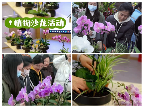 淮安市体彩中心女职工共庆三八妇女节，以盆栽花卉活动践行公益精神(1)_副本.jpg