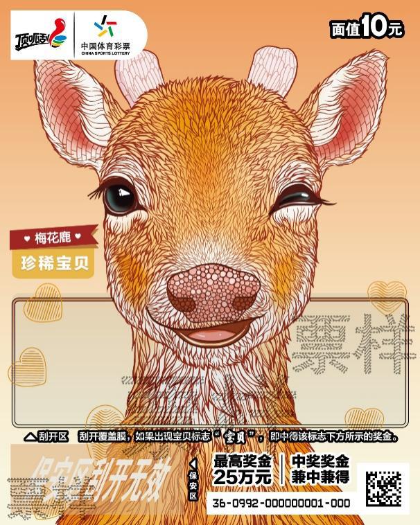 图片 12