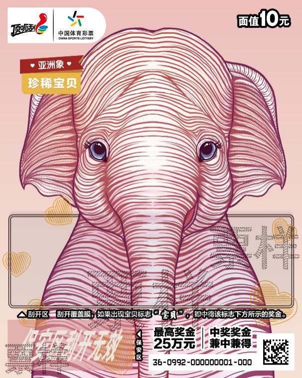 图片 8