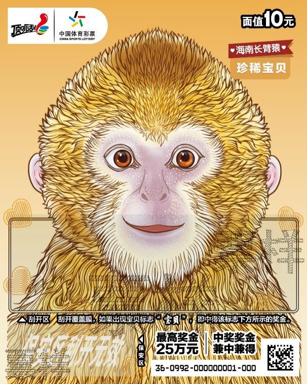 图片 9