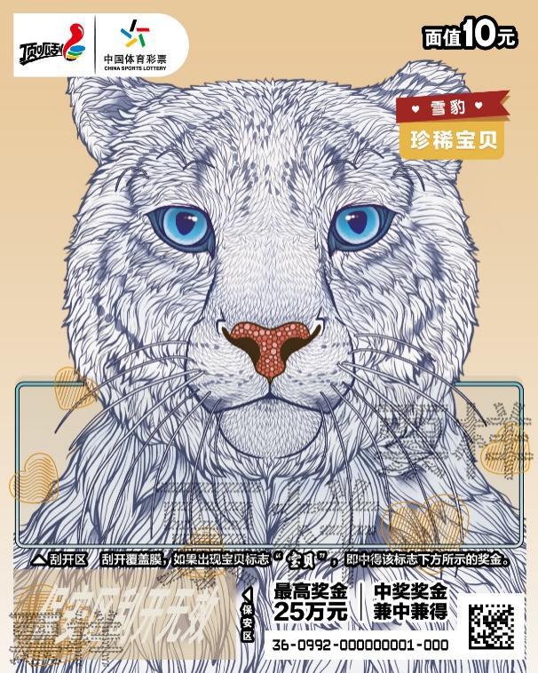 图片 10