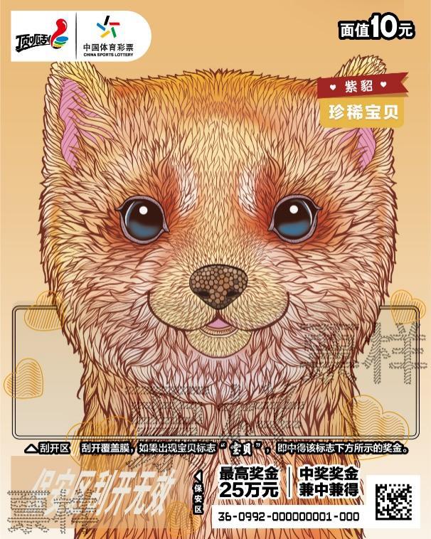 图片 11