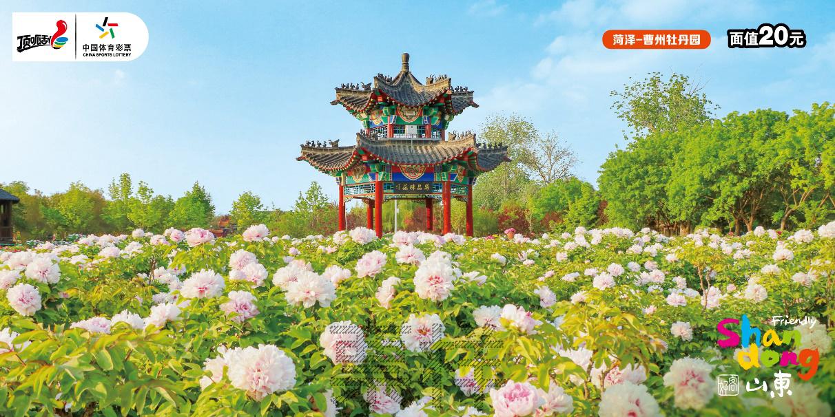 C:\Users\cslop\AppData\Local\Temp\Rar$DRa23576.32578\CSL-0980 好客山东-300DPI\CSL-0980 好客山东_16菏泽-曹州牡丹园.jpg