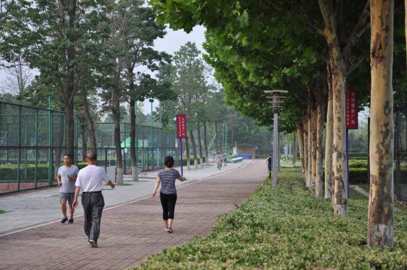 C:\Users\songshuang\Desktop\体彩出差山东\健身长廊\沂河健身长廊资料\临沂滨河健身长廊健身步道.JPG