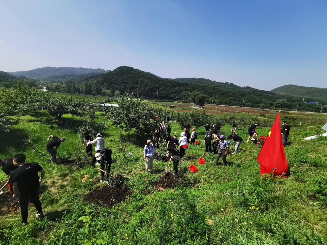 C:/Users/Administrator/AppData/Local/Temp/picturecompress_20210705143101/output_1.jpgoutput_1