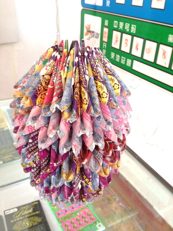 连云港业主巧手变废为宝 小小即开票大大工艺品 (3).jpg