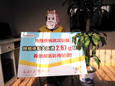 体彩大乐透湖北2.67亿中奖者1.jpg